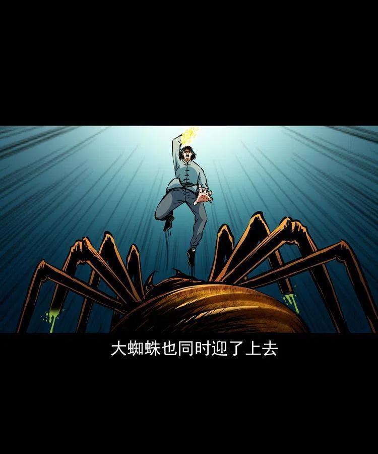 一百三十话 大破蜘蛛怪29