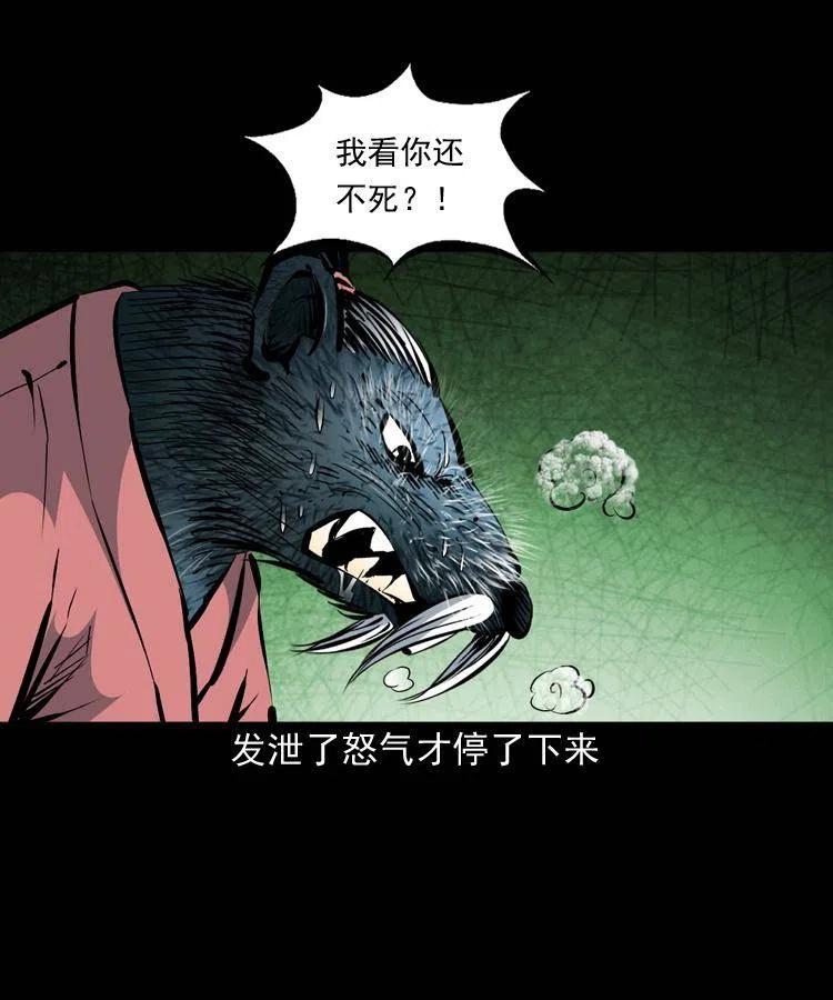 一百四十四话 老耗子46