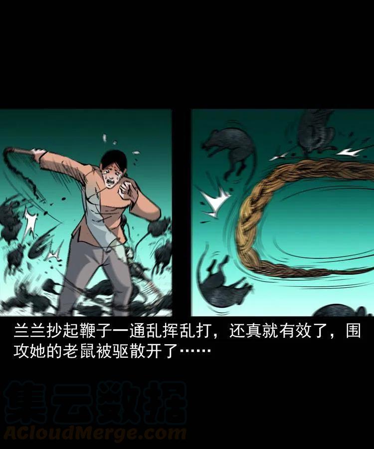 一百三十一话 捕鼠高手36