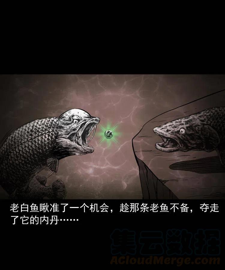 四十四话 冤家路窄8