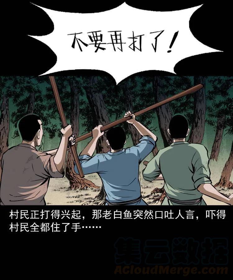 四十五话 老鱼献宝8