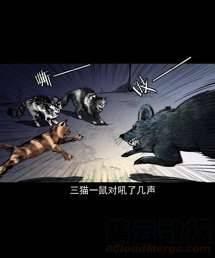 一百三十四话 百猫图45