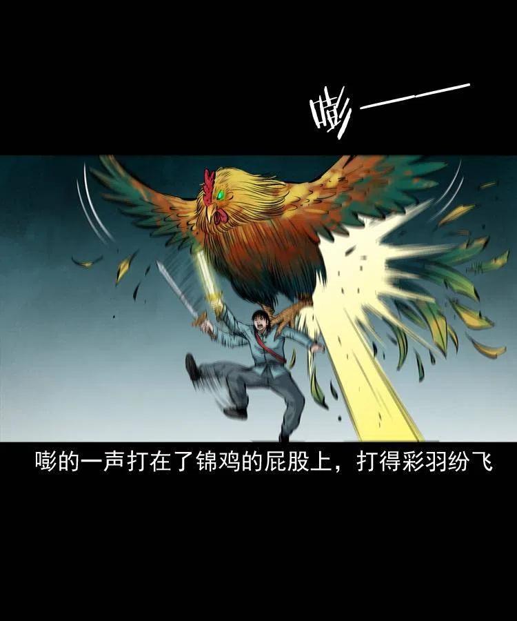 七十七话 金鸡山42