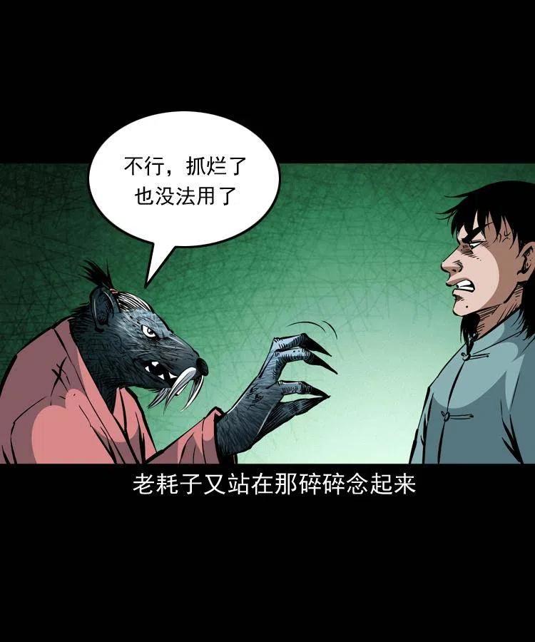 一百四十四话 老耗子13