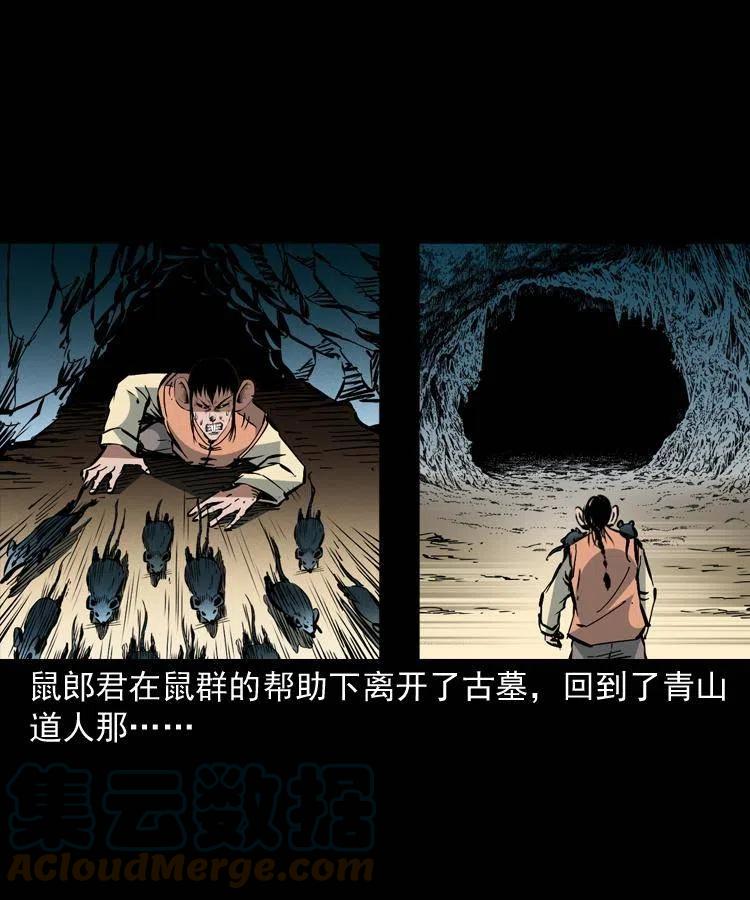 一百五十六话 围攻鼠郎君6
