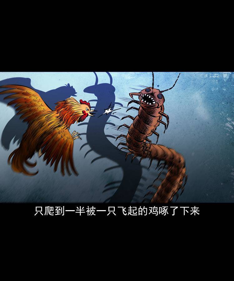 第十六话 聚仙楼捉妖65