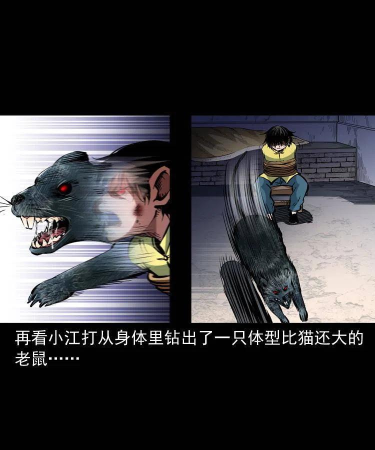 一百三十四话 百猫图44