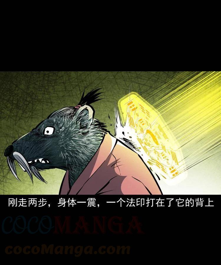 一百四十四话 老耗子36