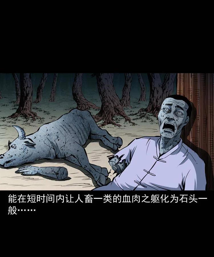 四十二话 苗疆蛊王29