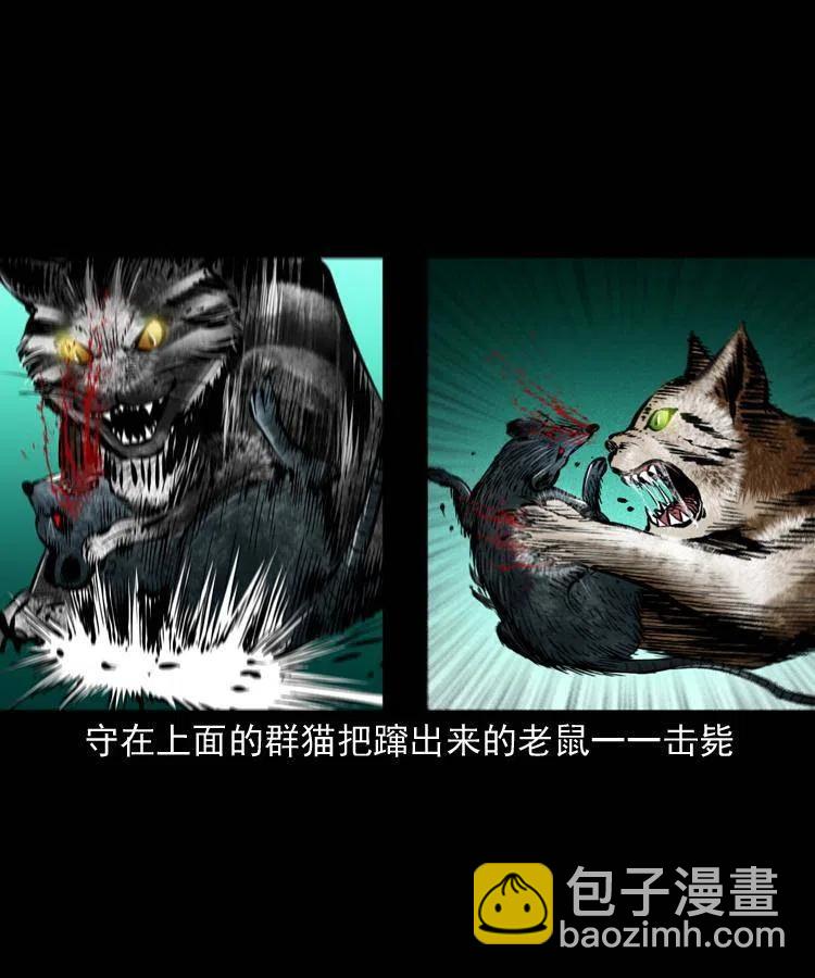 一百三十五话 百猫伏鼠4