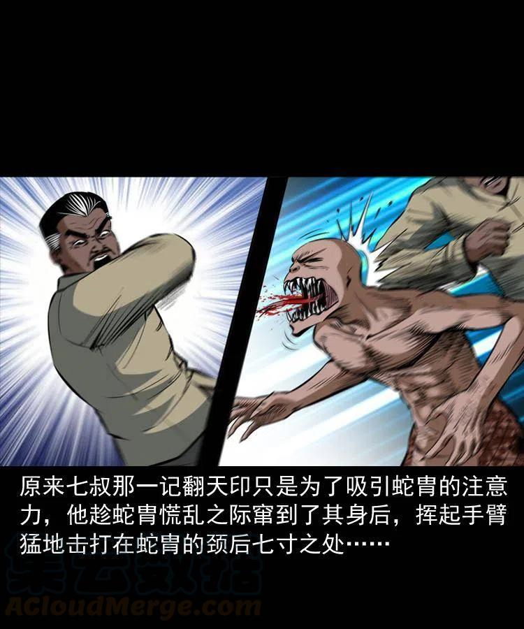 四十八话 幕后黑手52