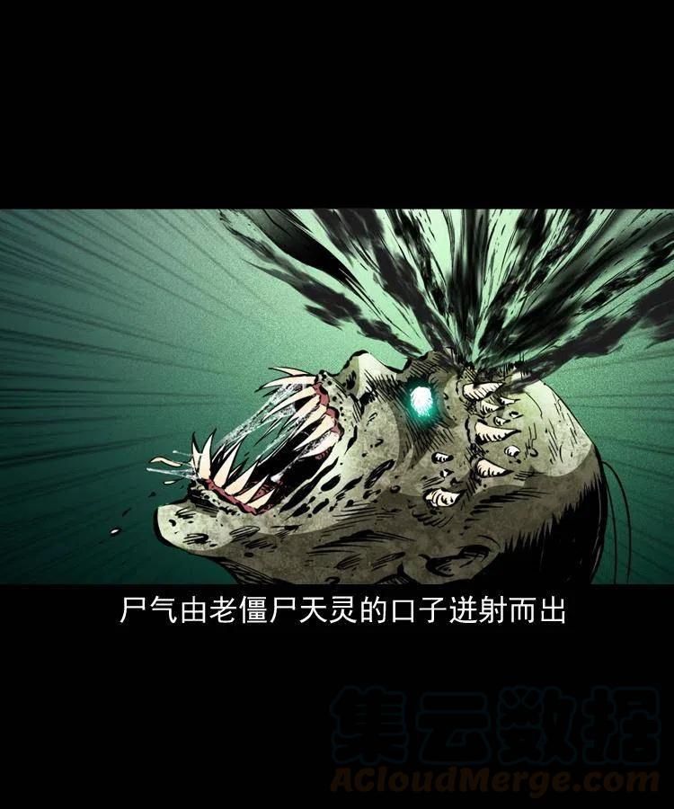 一百三十八话 收大粽33
