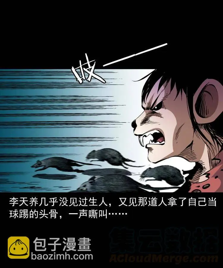 一百二十五话 鼠郎君24