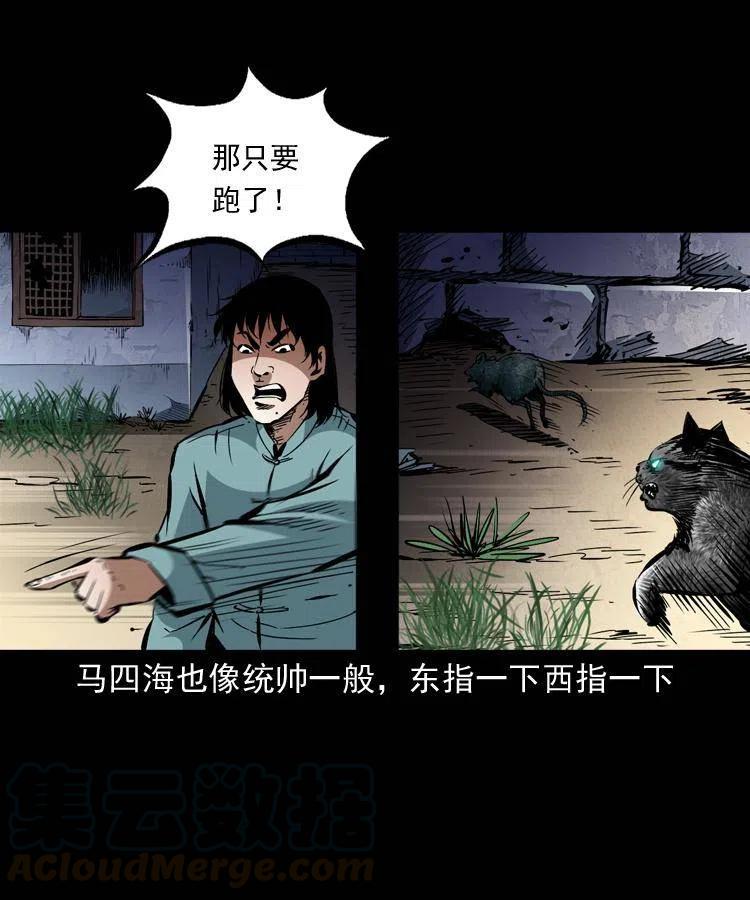 一百三十五话 百猫伏鼠6