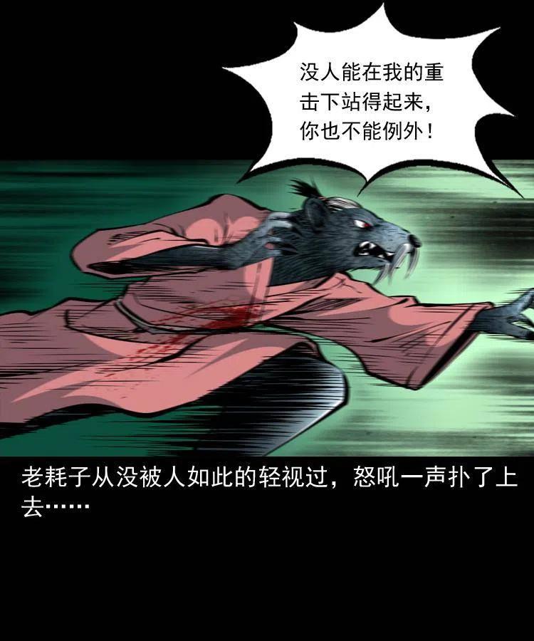 一百四十四话 老耗子53