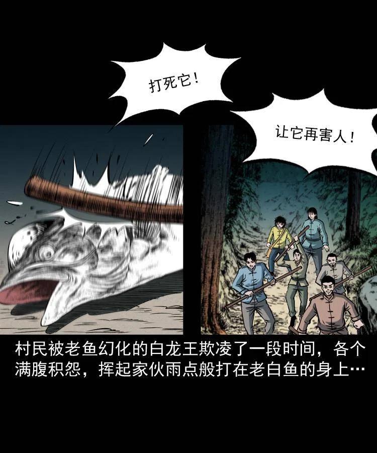 四十五话 老鱼献宝5