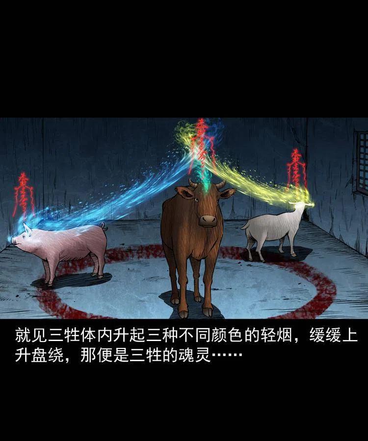五十话 宿命58