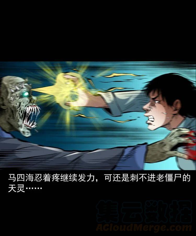 一百三十八话 收大粽27