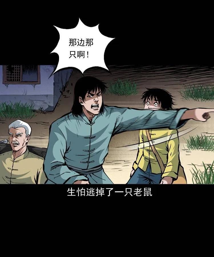 一百三十五话 百猫伏鼠7