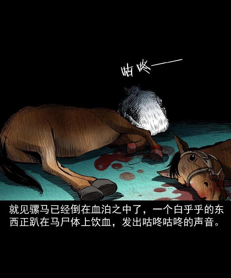八十八话 白毛妖怪13