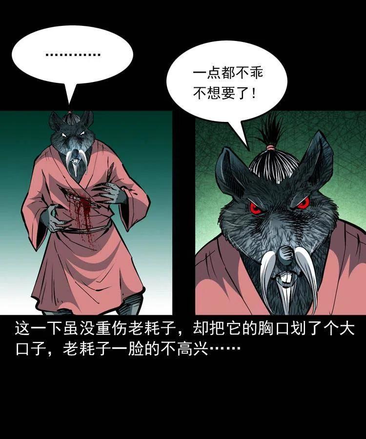 一百四十四话 老耗子16