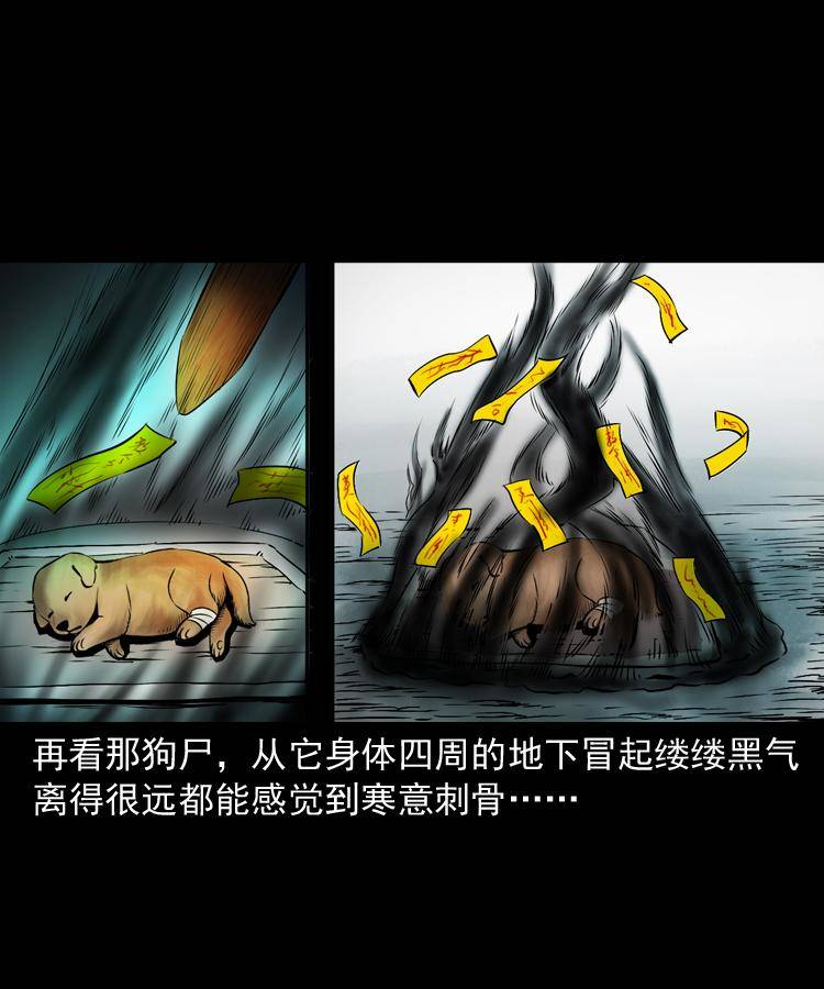 第十七话 青囊尸典33