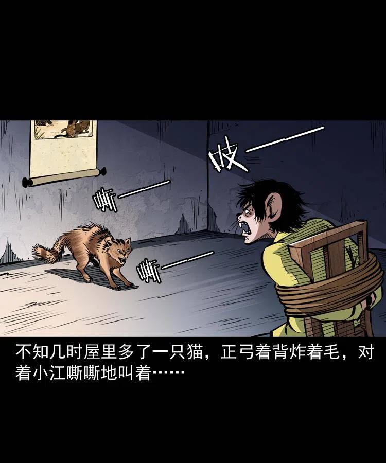 一百三十四话 百猫图41