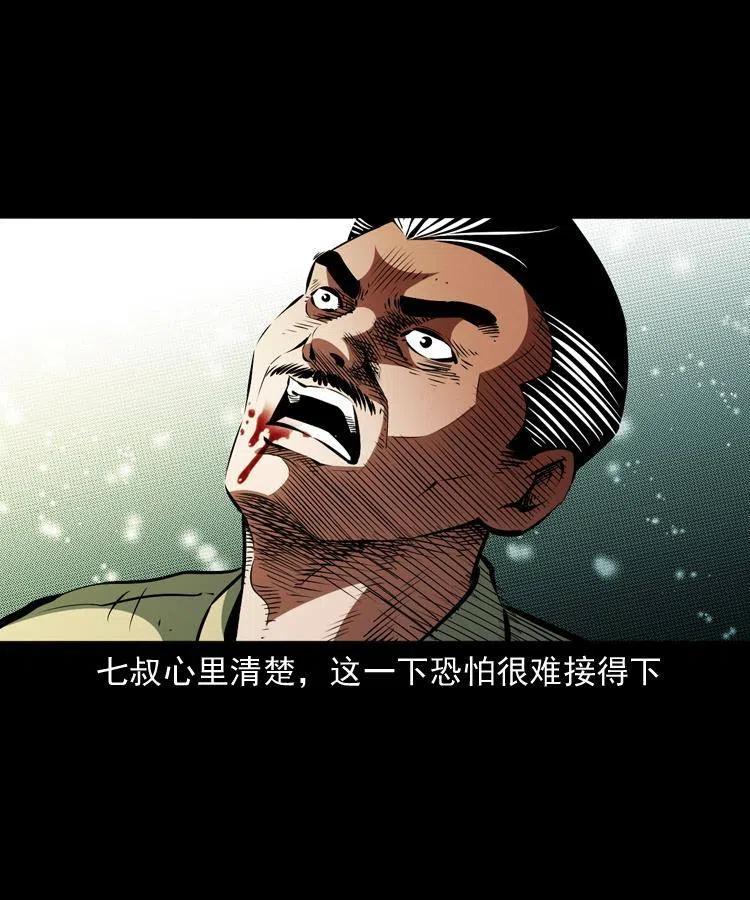 一百一十四话 七叔的决心21