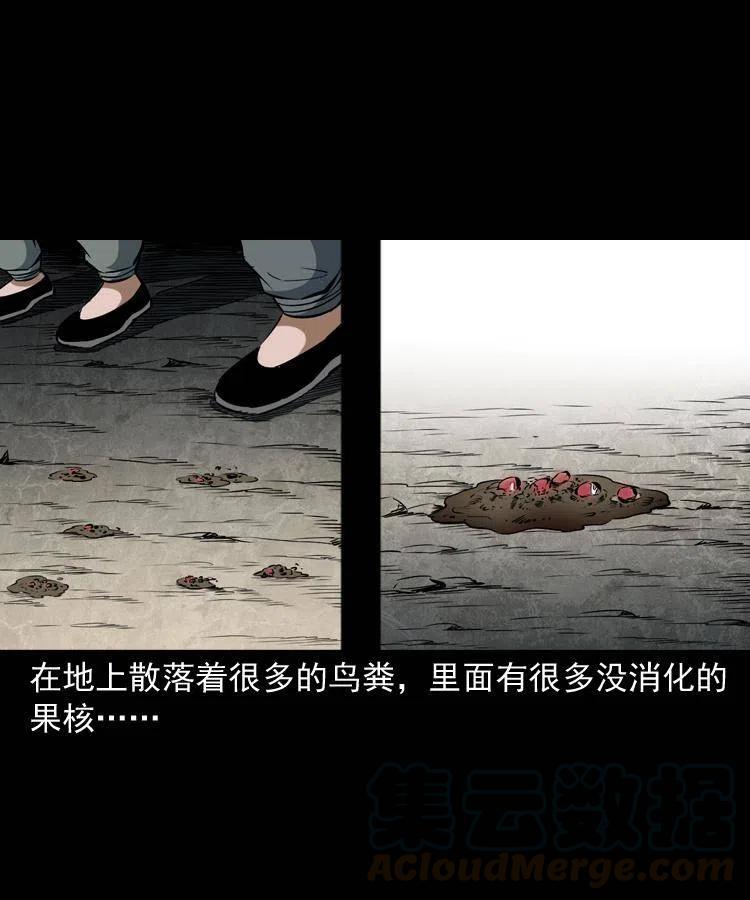 五十一话 保命仙草44