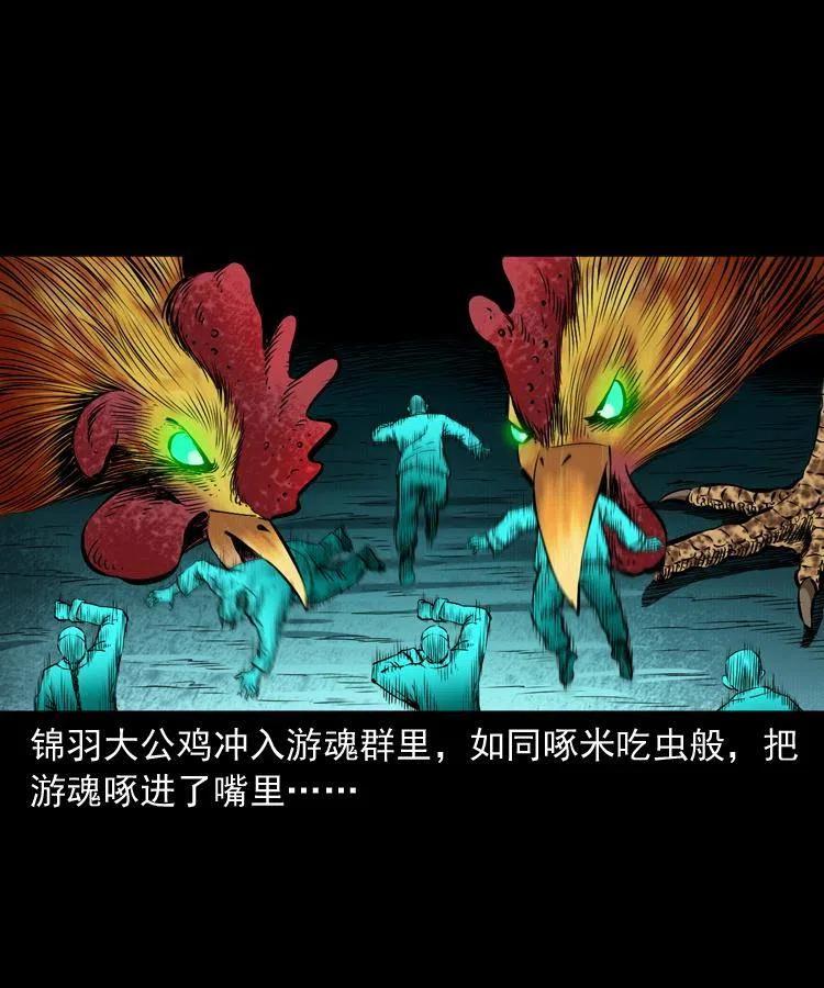 七十七话 金鸡山35