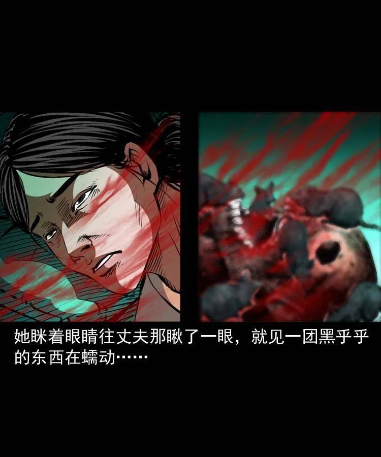 一百三十一话 捕鼠高手28