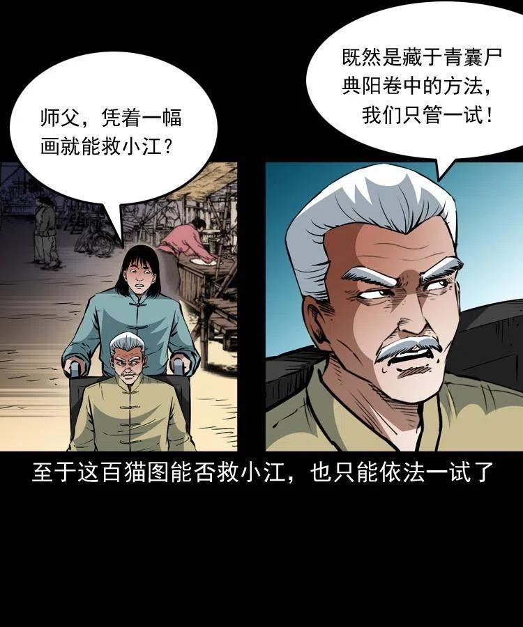 一百三十四话 百猫图35