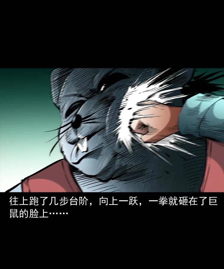 一百二十七话 火烧老鼠城14