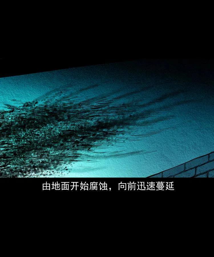 八十一话 马四海的身份47