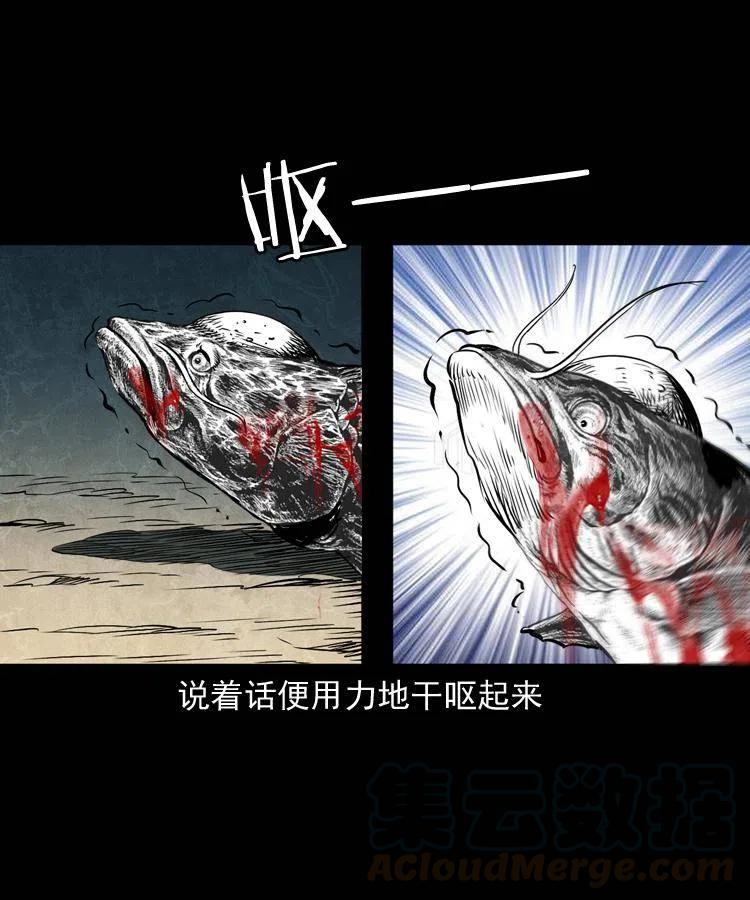 四十五话 老鱼献宝12