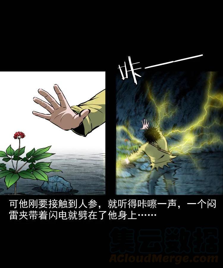 五十二话 人参娃娃48
