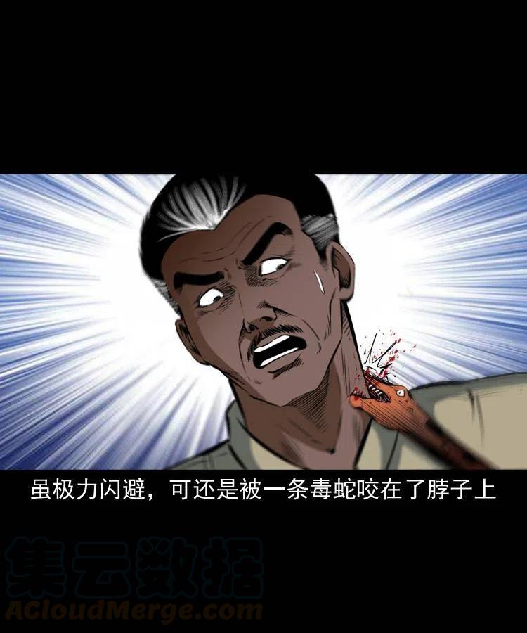四十八话 幕后黑手72