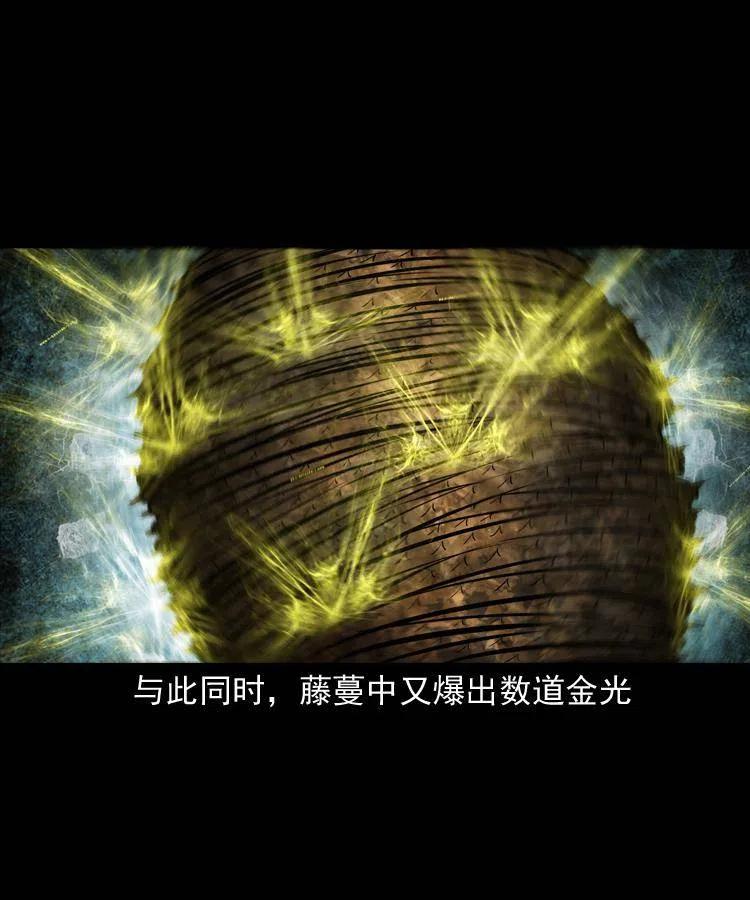 五十七话 让死人说话14