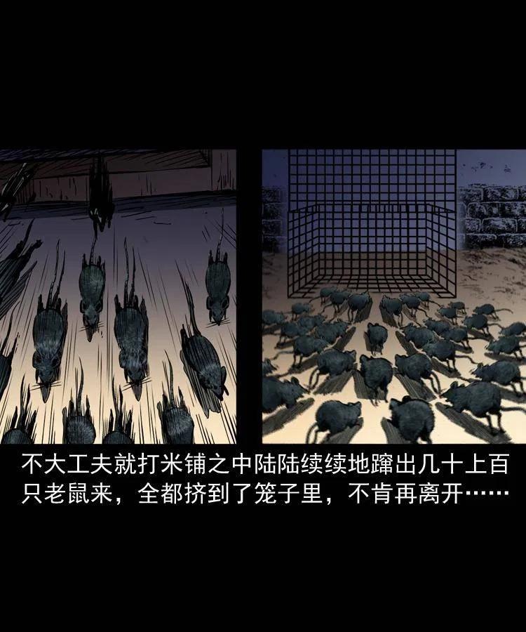 一百三十一话 捕鼠高手59