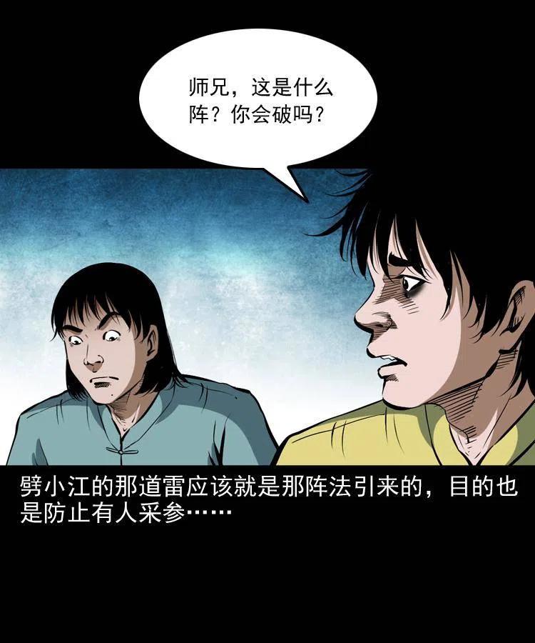 五十二话 人参娃娃57