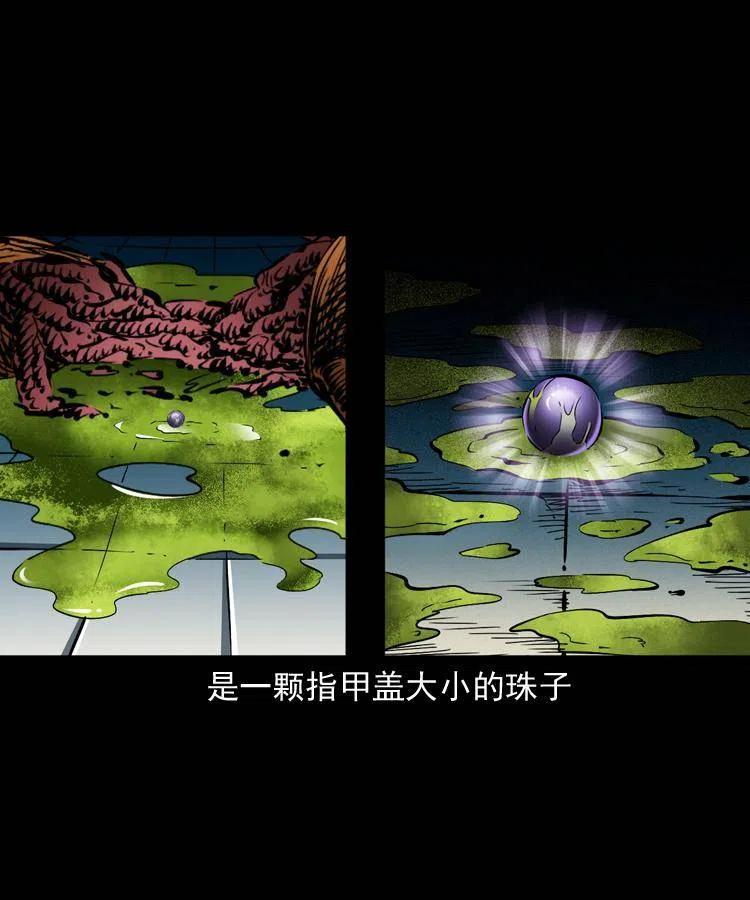 一百三十话 大破蜘蛛怪34