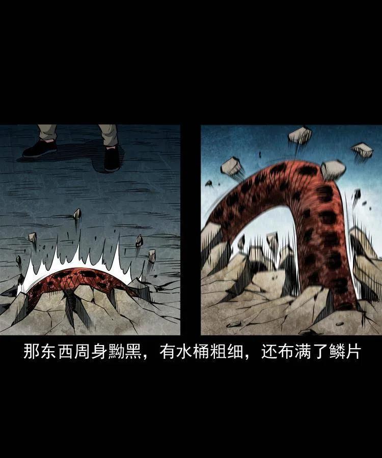 四十八话 幕后黑手39