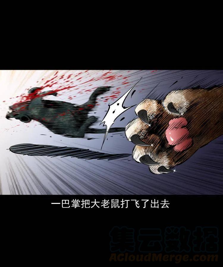 一百三十四话 百猫图51