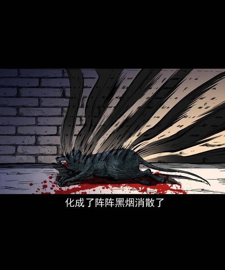 一百三十四话 百猫图55