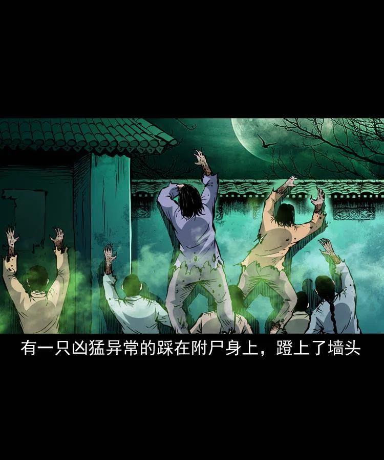 一百三十七话 寻镜降尸49