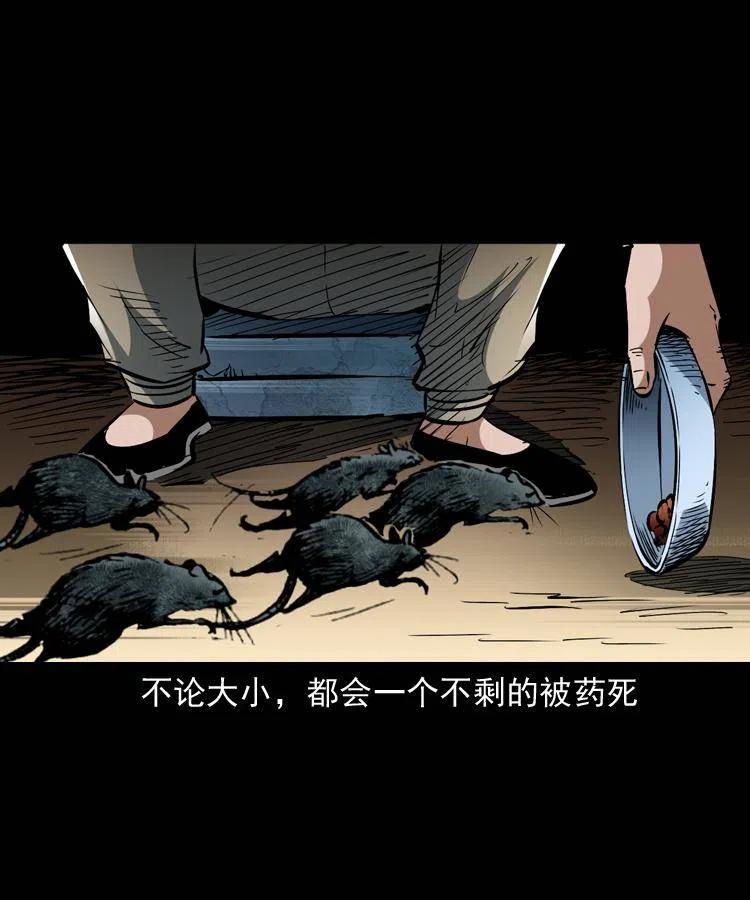 一百三十一话 捕鼠高手13