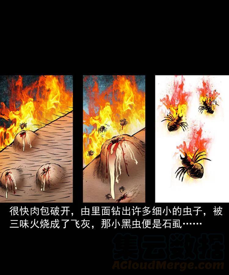 四十二话 苗疆蛊王44