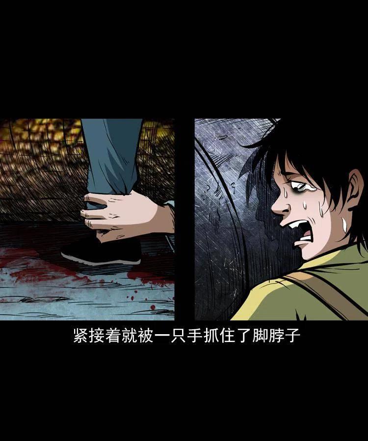五十二话 人参娃娃38