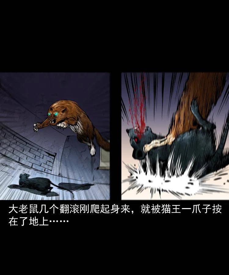 一百三十四话 百猫图52
