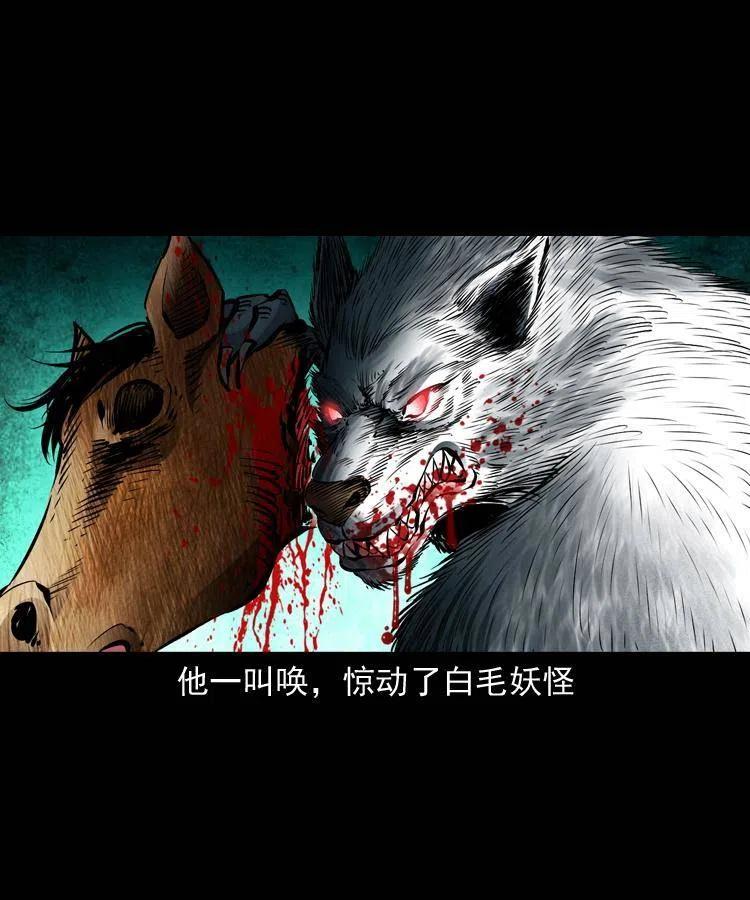 八十八话 白毛妖怪15